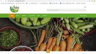 How to start up a virtual organic supermarket