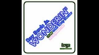 Roy Davis Junior (feat. Terry Dexter) - Wonderin' (original mix)