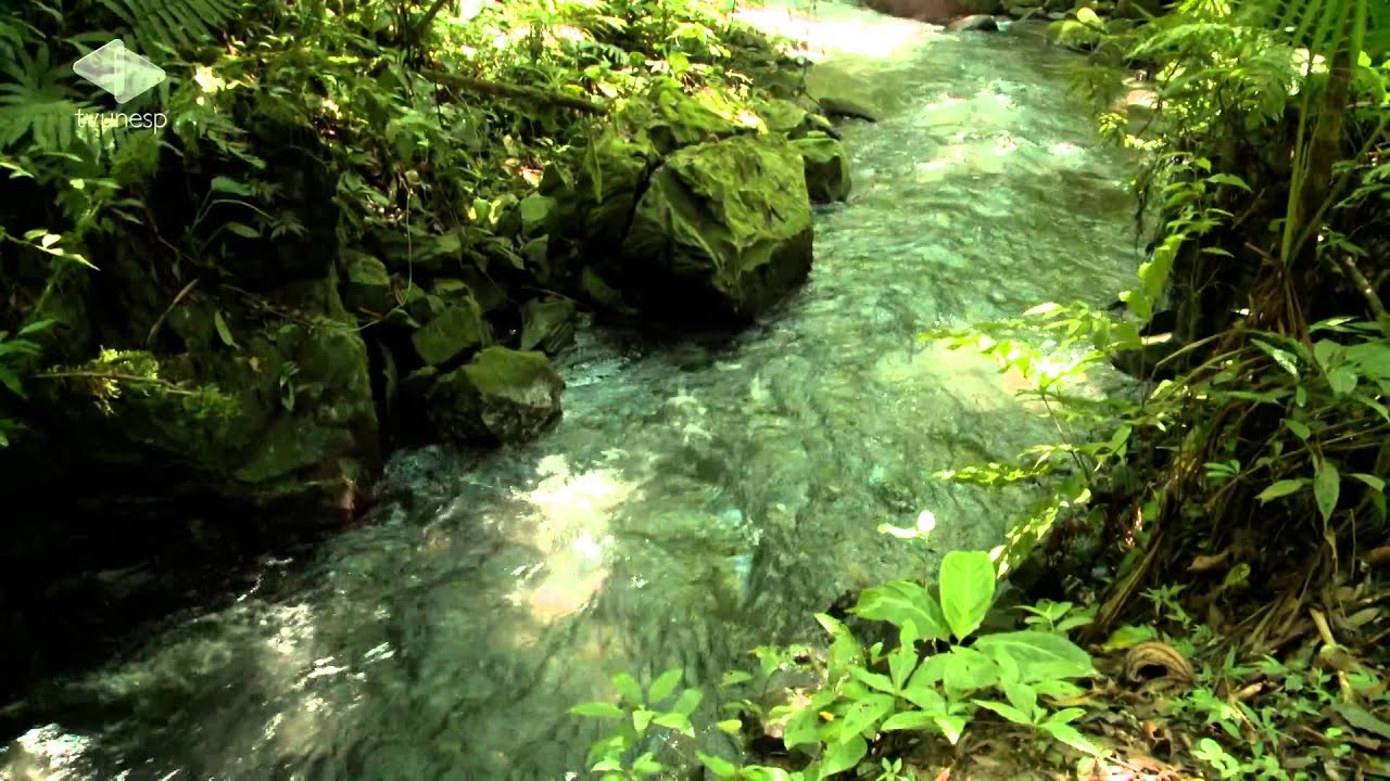 Ecoideias - 25/05/2014 - Ecoturismo