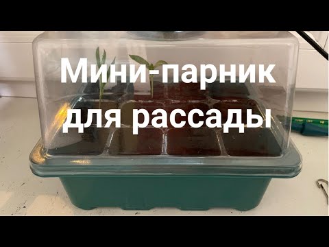 Мини-парник для выращивания рассады с LED-подсветкой Мини-теплица на 4 лотка с фитолампами - фото 1 - id-p2238480346