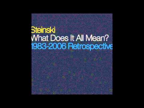 Steinski - The Motorcade Sped On