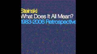 Steinski - The Motorcade Sped On