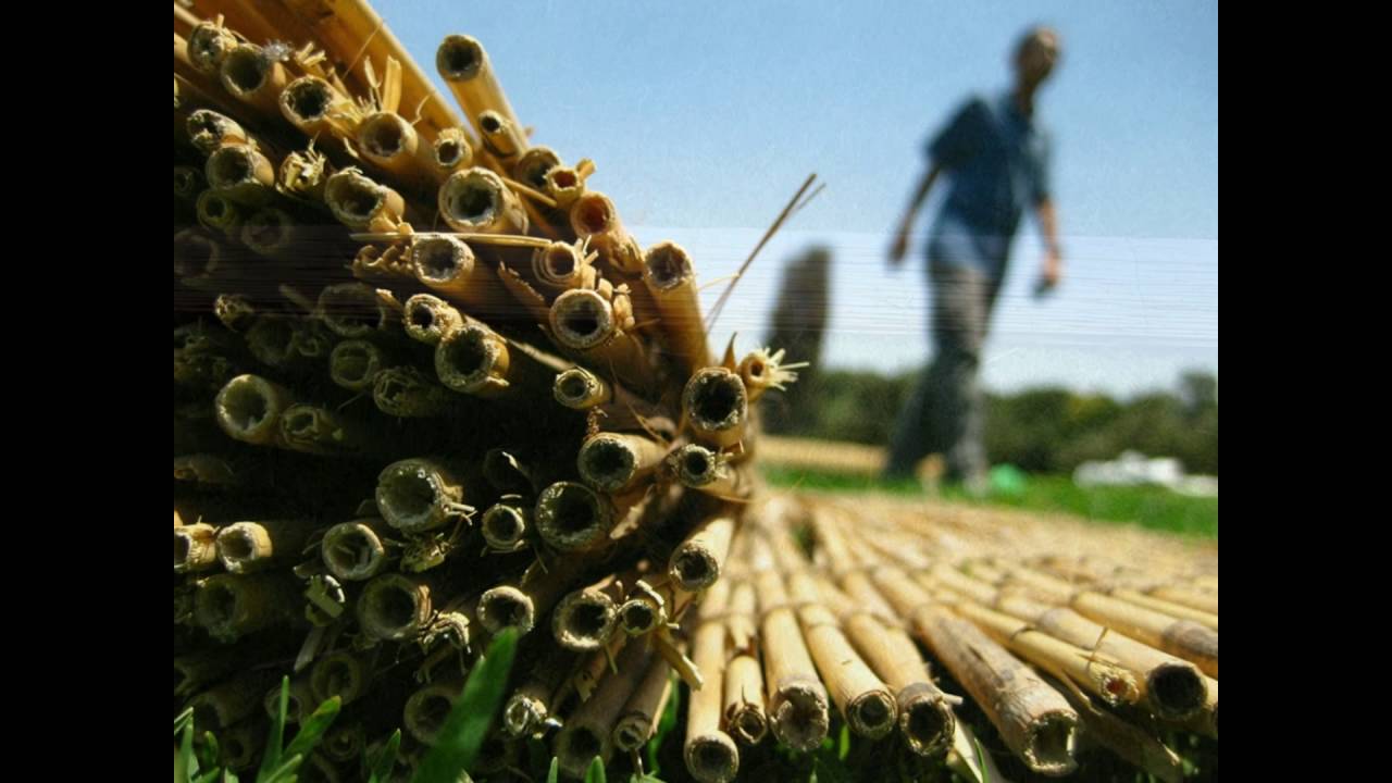 סכך - חייג 072-2133333