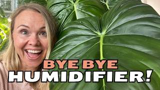 DITCH Your Humidifier! These 7 Plants Thrive Without One
