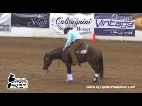 Gunners Tinseltown ridden by Sam Schaffhauser   2014 NRBCOpen Classic 1st Go