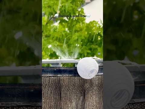 #rain #enjoy #love #happiness #nature #raining #evening #rainlove #switzerland #europe #happy #wow