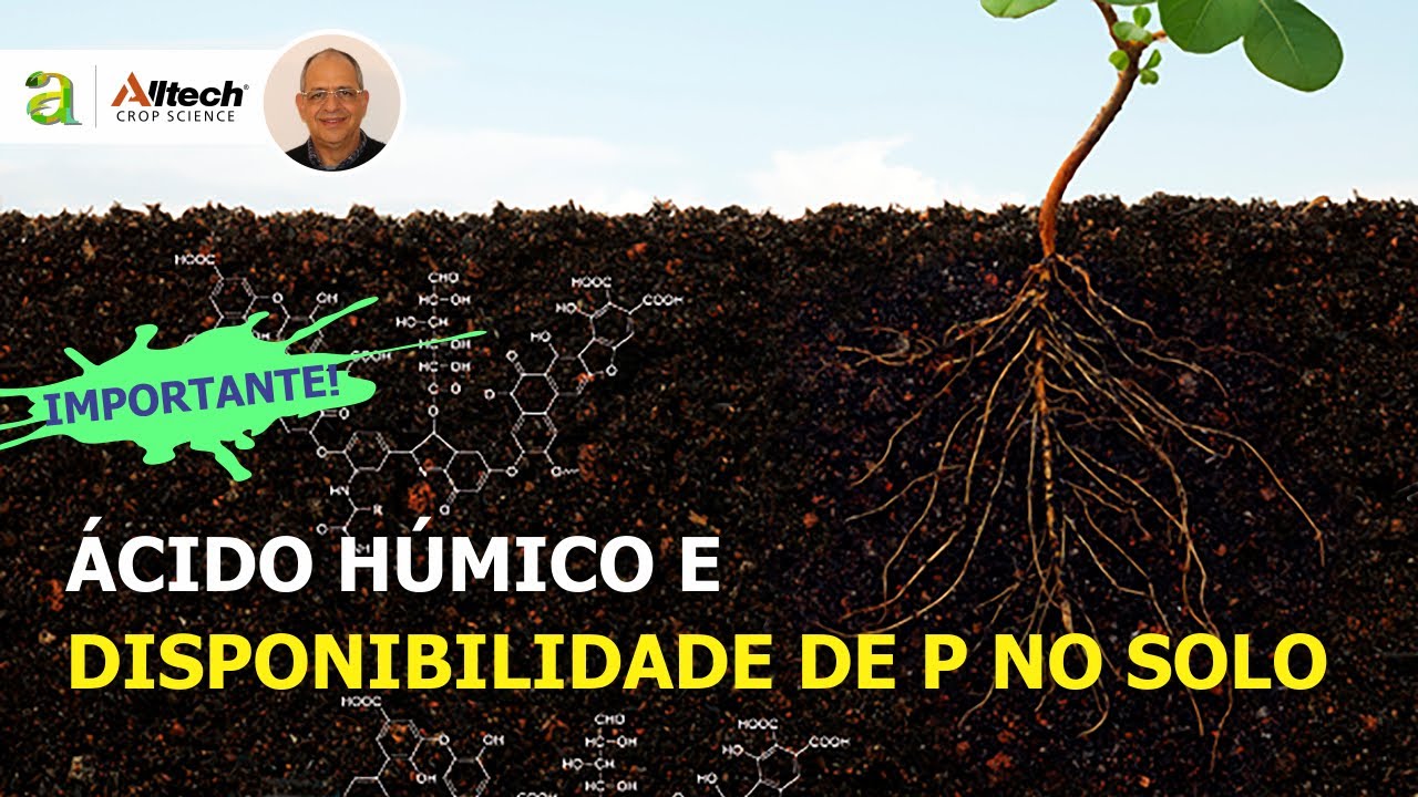 #110 - ÁC.  HÚMICO E DISPONIBILIDADE DE P