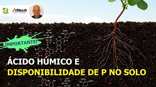 #110 - ÁC.  HÚMICO E DISPONIBILIDADE DE P