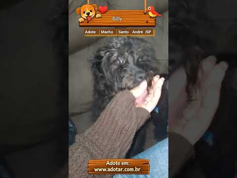Vídeo de Billy