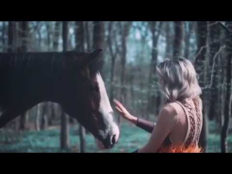 Andrea Paškvan- Najljepše na svijetu boje 2017 TEASER