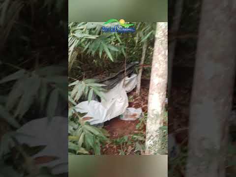 Suspeito de matar jovem em Ponte Nova é localizado escondido em mata e preso