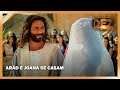 Arão E Joana Se Casam OS DEZ MANDAMENTOS
