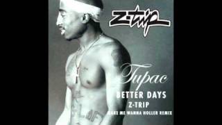 TUPAC - BETTER DAYZ ( Z-TRIP MAKE ME WANNA HOLLER REMIX )