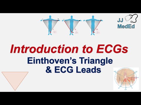 Introduction to ECG The Basics ECG Paper PQRST wave Rate Rhythm Axis and Interval