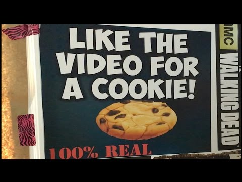 WHERE IS MY COOKIE?????