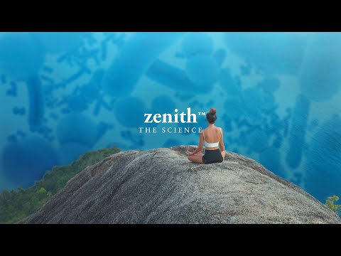 3 Waves Wellness and Dr. Shawn Talbott (DocTalbott)