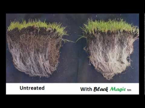 download lagu mp3 mp4 Free Topsoil Derby, download lagu Free Topsoil Derby gratis, unduh video klip Free Topsoil Derby