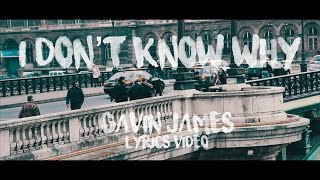 I Don't Know Why - Gavin James (Danny Avila Remix) Lyrics Video