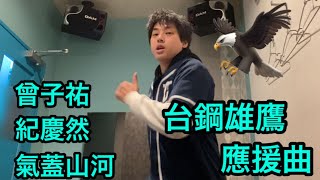 [分享] 台鋼雄鷹應援曲（日本球迷版）