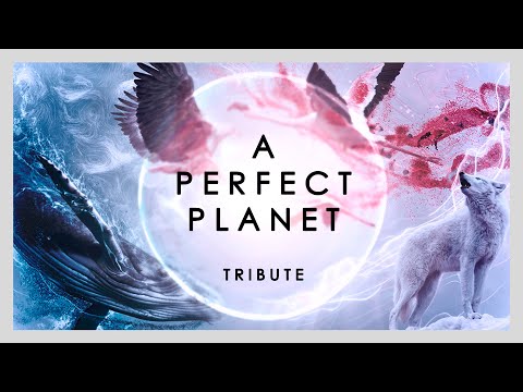 A PERFECT PLANET | Un Planeta Perfecto | Tribute 4K