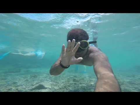 Pigeon Island Marine Reserve | Best Beach in Sri Lanka from May - September