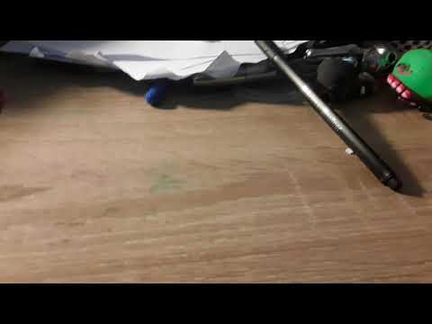 introducing the guaguitas