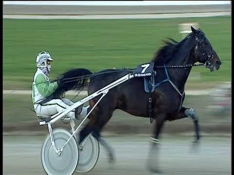 Trotto 11/12/2018 - 3ª corsa