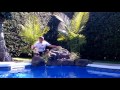 Tropicana Swimming Pool Waterfall