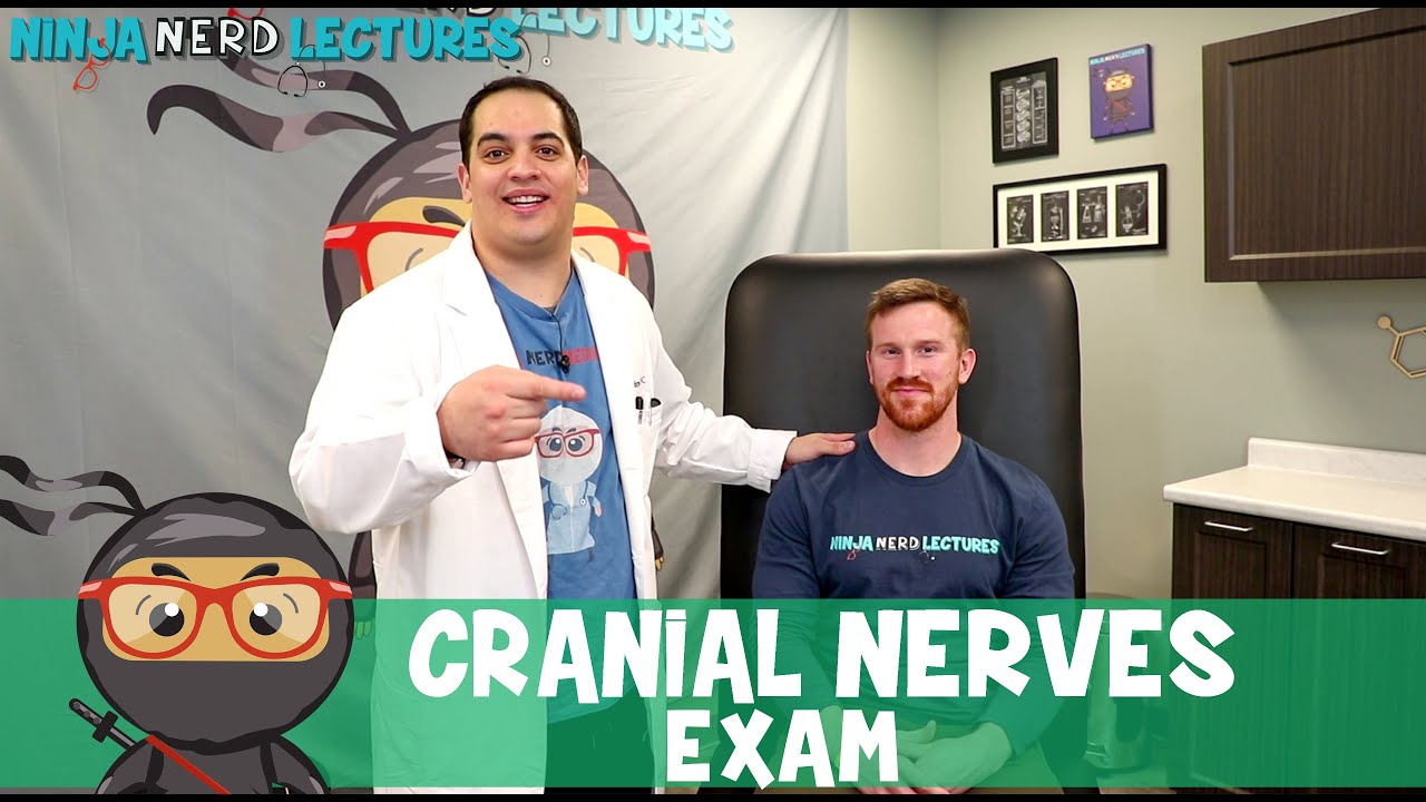 Cranial Nerves Exam | Clinical Skills