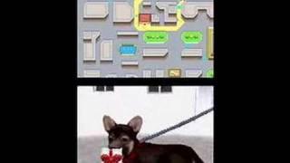 Nintendogs-Walking The Dog