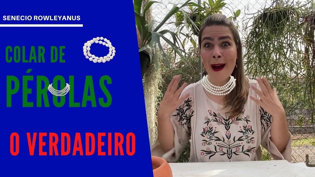 Consegui o VERDADEIRO Colar de Pérolas VARIEGATA e fiz um SUPER vaso /Grazi Bittencourt