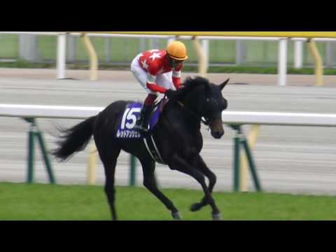 レッドアンシェル　in　 東京競馬場　at 2017.05.07. NHKマイルカップ（ＧⅠ）＃５