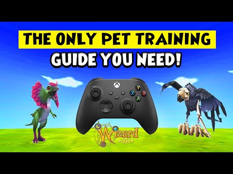 Wizard101 CONSOLE: The *BEST* Pet Training Guide For Beginners