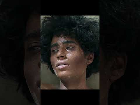 🌊 Life of Pi – The Miracle Island 🦁🌴