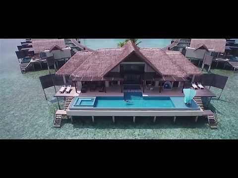 PDG -  Sta Je Ljubav (Official Music Video)