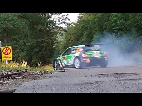 WRC ADAC Rallye Deutschland 2019 | Fabian Kreim | Big Moment & Slows Down !!!