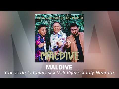 Cocos de la Calarasi ❌ Vali Vijelie ❌Iuly Neamtu - Sa te iau cu mine | Audio Oficial