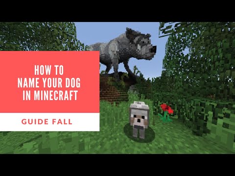 Minecraft | How to Name a Dog