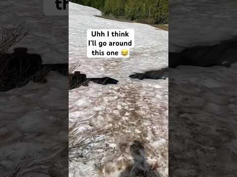 Definitely not crossing this one 😂