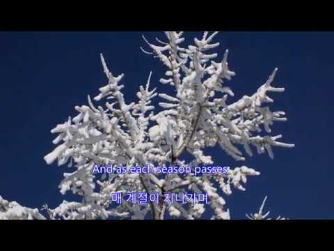 Angels in the Snow - Amy Sky  | with lyrics (영어가사/한글번역)