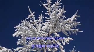Angels in the Snow - Amy Sky  | with lyrics (영어가사/한글번역)