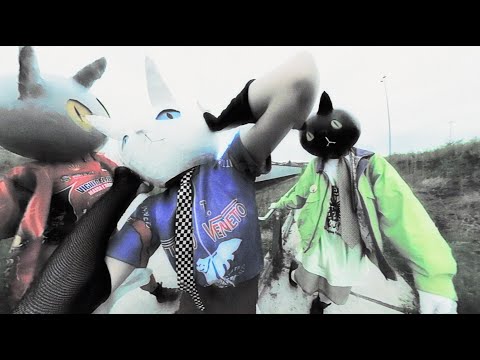 Catnapp - Lights (Official Video)