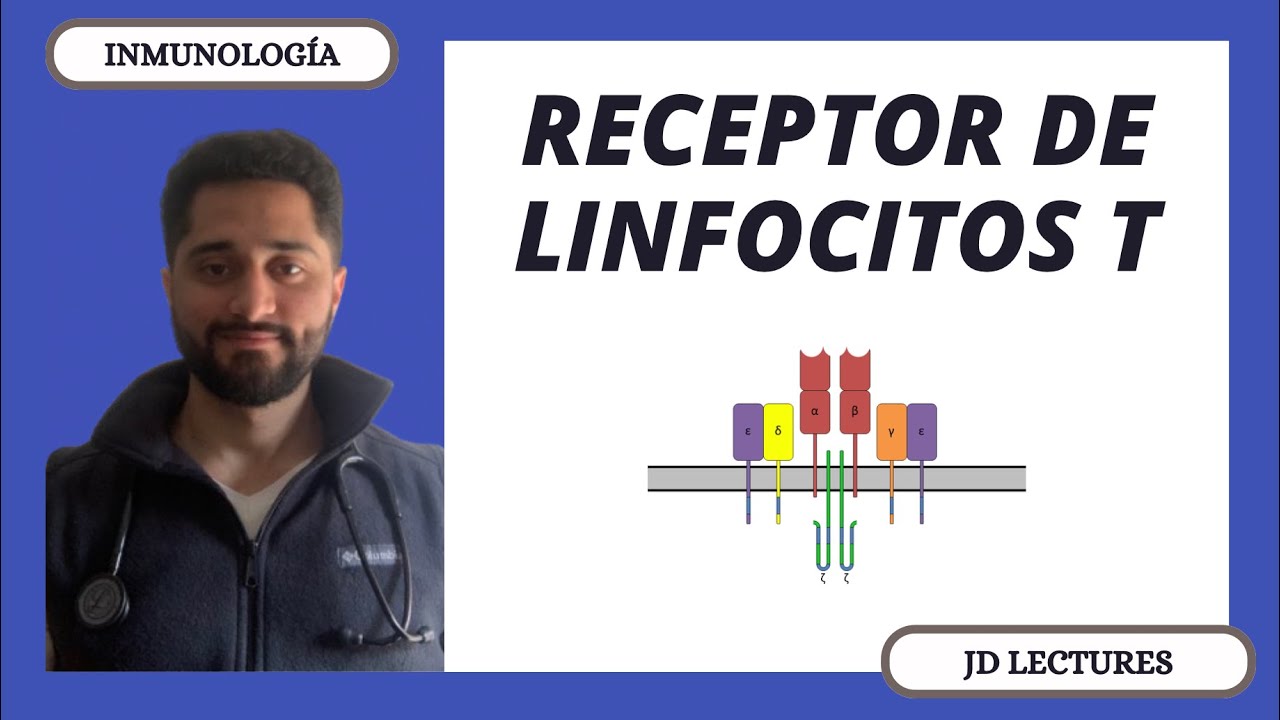 RECEPTOR DE CÉLULAS T (TCR) | RECOMBINACIÓN VDJ | INMUNOLOGÍA