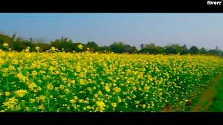 Top Virtual Assistant Services: Data Entry & Research Help