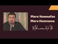 Mere Humnafas Mere Humnawa | Muhammad Ali Khan | Basant Ke Rung with Friends Across Border
