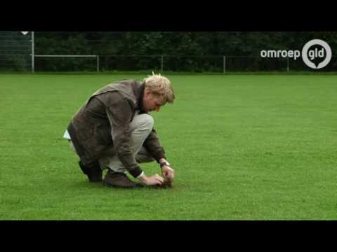 GLD VANDAAG  2 augustus 2016