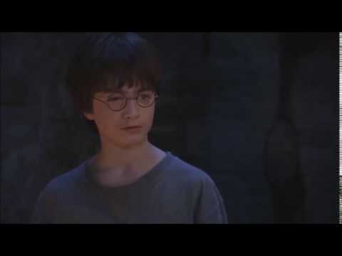 you're a wizard harry (dumb destiny joke)