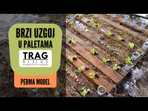 BRZI UZGOJ u Paletama