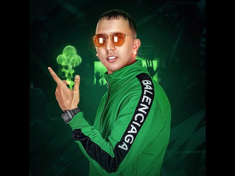 MIX TREBOL CLAN (GATA FIERA, AGÁRRALA, AMOR PROHIBIDO, MUJERES, BÁILAME, NO LE TEMAS A ÉL) | DJ GALO