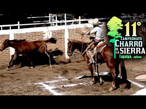 Piales en el Lienzo 1er día - 11vo Campeonato de la Sierra TAPALPA 2024